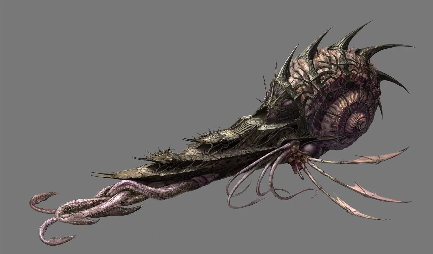 Nautiloid Art