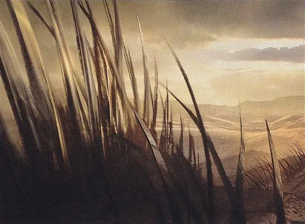 Anevar Art 20